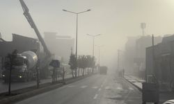Adıyaman'da yoğun sis etkili oldu