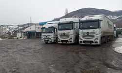 Ardahan'da Türkgözü-Posof-Damal karayolu tırlara kapatıldı