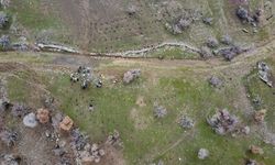 Batman'da ağaçlandırma etkinliği düzenledi