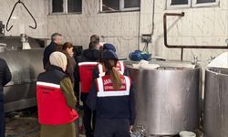 Gıda Denetimi: 460 Kilo Peynir İmha Edildi