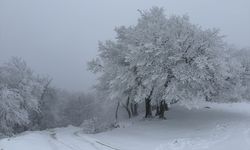 Ganos Dağı'nda karla karlı ormanlar güzel görüntü oluşturdu