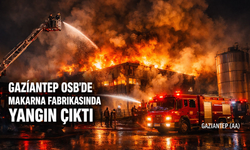 Gaziantep OSB’de Fabrika Yangını Korkuttu