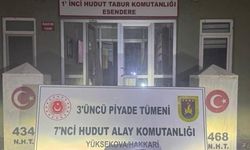 Hakkari hudutlarında uyuşturucu operasyonu