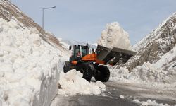 Hakkari-Van karayoluna düşen çığ temizlendi