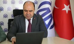 Karaköprü Belediye Başkanı Çiftçi, AA'nın 'Yılın Kareleri' oylamasına katıldı