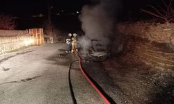 Artuklu'da park halindeki otomobil yandı