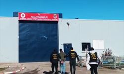 Şanlıurfa'da firari hükümlü yakalandı