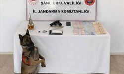 Şanlıurfa'da Narkotik operasyonunda 1 şüpheli yakalandı