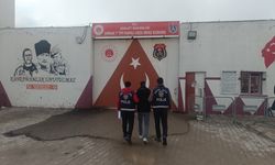 Cizre’de kesinleşmiş cezası bulunan 2 firari yakalandı