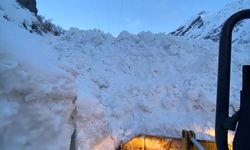 Beytüşşebap’ta Çığ Düştü, Grup Köy Yolu Kapandı