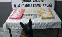 Şırnak'ta 103 şüpheli hakkında işlem yapıldı