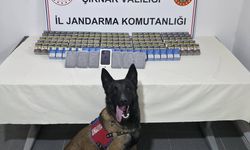 Şırnak'ta 112 şüpheli hakkında işlem yapıldı