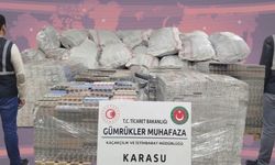 Gümrük ekiplerinden Karasu limanında büyük operasyon