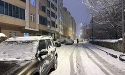 Soğuk Hava ve Kar Yurt Genelinde Etkisini Sürdürüyor