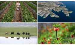 Bakanlıktan Adıyamanlı Bahar Paylaşımı