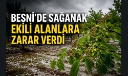 Sağanak ve Dolu Hasat Öncesi Çiftçiyi Vurdu