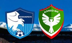 Erzurumspor FK ve Amedspor da Süper Lig'e yükseldi
