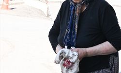 Bayramda Yine Acemi Kasaplar Hastanelik Oldu