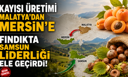 Kayısıda Mersin, Fındıkta Samsun Zirvede