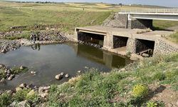Delik Deresi’nde Korku Dolu Anlar
