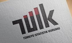 TÜİK Açıkladı: Türkiye’de Aile Yapısı Değişiyor