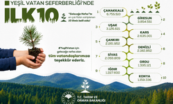 Yeşil Vatan Seferberliğinde İlk 10 İl Açıklandı