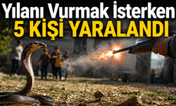 Yılanı Vurmak İsterken 5 Kişi Yaralandı