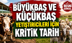 Hayvancılık Desteklemelerinde Son Gün 15 Haziran