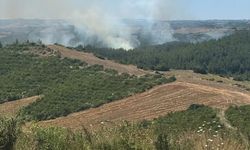 Adana'da Araç Yangını Ormana Sıçradı