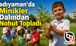 Adıyaman Belediyesi'nin Organik Bahçede İlk Hasat Heyecanı