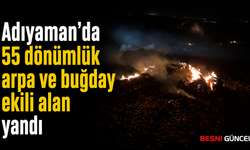 Adıyaman'da Hasat Döneminde Üzen Tarla Yangını