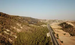 Adıyaman'da Ormanlara Giriş Yasaklandı