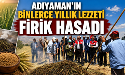 Adıyaman'ın Binlerce Yıllık Lezzeti Firik Hasadı