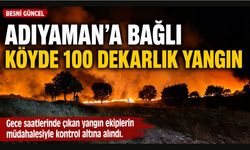 Adıyaman'a Bağlı Köyde 100 Dekarlık Yangın