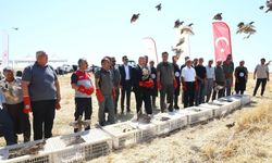 Adıyaman'da 1000 Keklik Doğaya Salındı