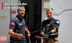 Adıyaman'da 4 Yıllık Yılan Kâbusu Sona Erdi