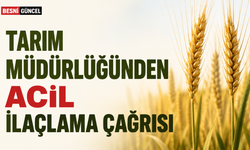 Adıyaman'da Buğday Üreticilerine Süne Uyarısı