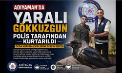 Adıyaman'da Yaralı Gökkuzgun Polis Tarafından Kurtarıldı