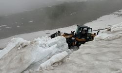 Artvin yaylalarında karla mücadele tüm hızıyla devam ediyor