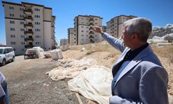 Başkan Tahmazoğlu sosyal konut projesini yerinde denetledi