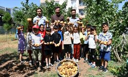 Batman'da anaokulu öğrencileri bahçede yetiştirdikleri patatesleri hasat etti