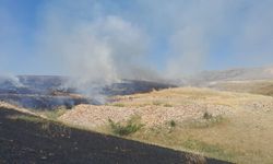Adıyaman'da 74 Dönümlük Ekili Tarla Yandı