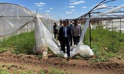 Besni Kaymakamı Tütün İşçilerini Ziyaret Etti