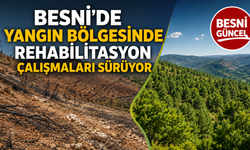 Besni'de Yanan Ormanlar Yeniden Yeşerecek