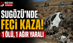 Besni'de Şarampole Devrilen Otomobilde Acı Kayıp