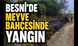 Besni'de Meyve Bahçesinde Yangın Paniği