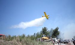 Çanakkale'de Orman Yangınına Müdahale Sürüyor