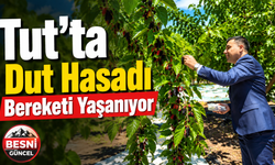 Tut Dutu Hasadı Coşkuyla Başladı: Kaymakam Üreticilerle