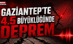 Nurdağı Gece Yarısı Sallandı Adıyaman'da Hissetti