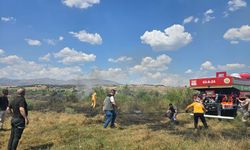 Diyarbakır'da ağaçlık alanda çıkan yangına müdahale ediliyor